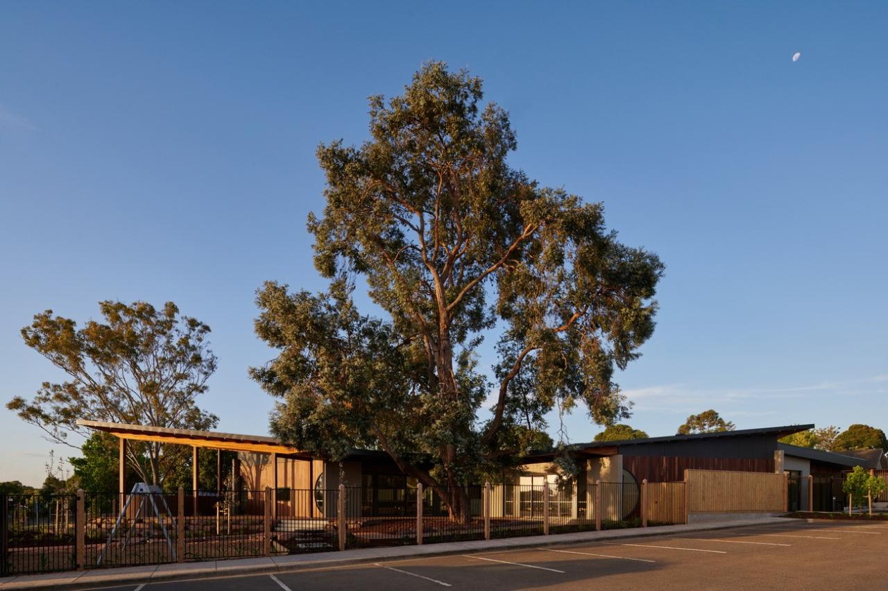 BIM建筑|抱树而建，Wellington 亲子中心 / AOA Christopher Peck