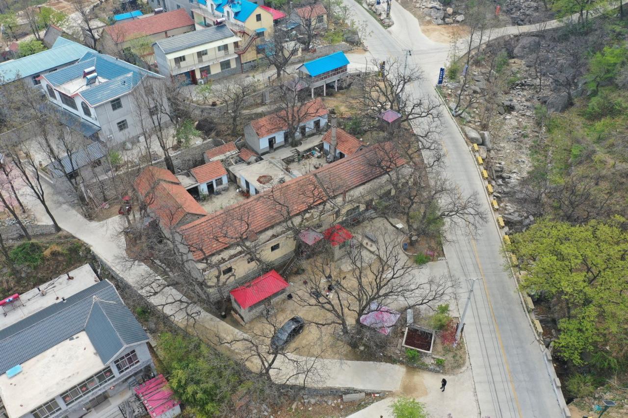 BIM建筑|沂蒙·书舍民宿：板栗树林下的自然再造与共生 / 灰空间建筑事务所