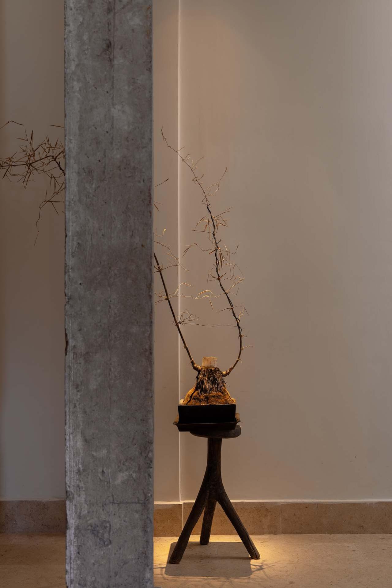 BIM建筑|上海世博元古酒店 / 无之设计