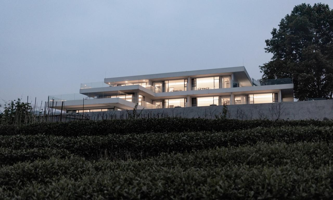 BIM建筑|云台阅野：漂浮在茶田上的民宿 / 岩川建筑设计