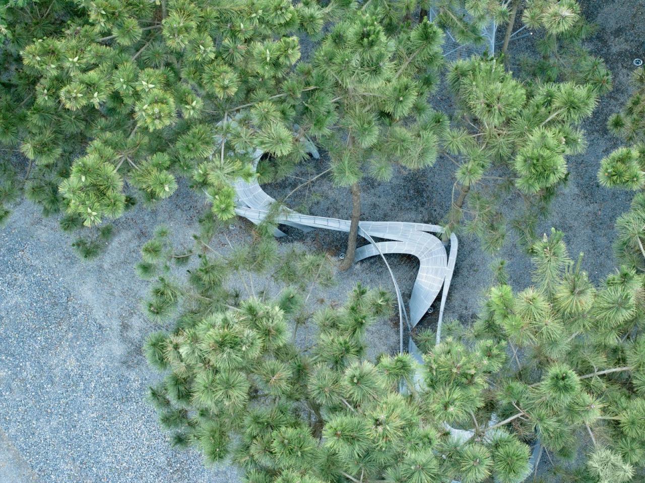 BIM建筑|苏子美人靠 / 孔祥伟工作室