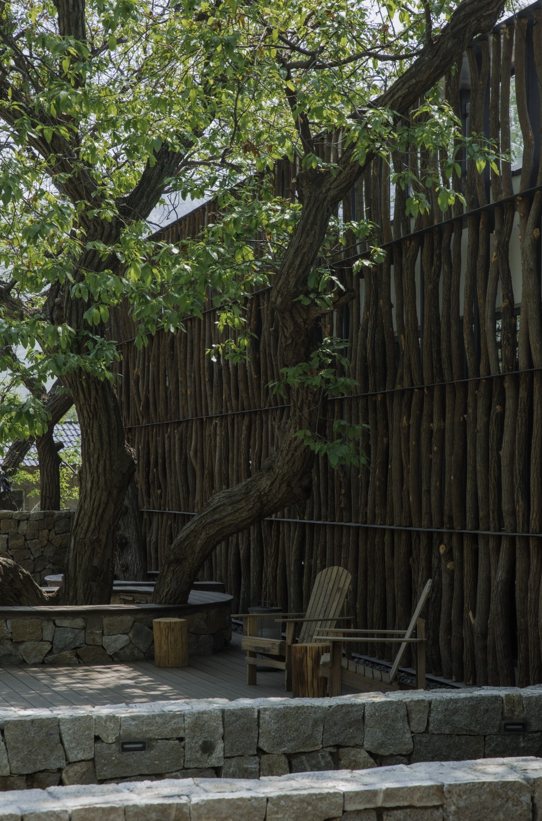 BIM建筑|沂蒙·书舍民宿：板栗树林下的自然再造与共生 / 灰空间建筑事务所