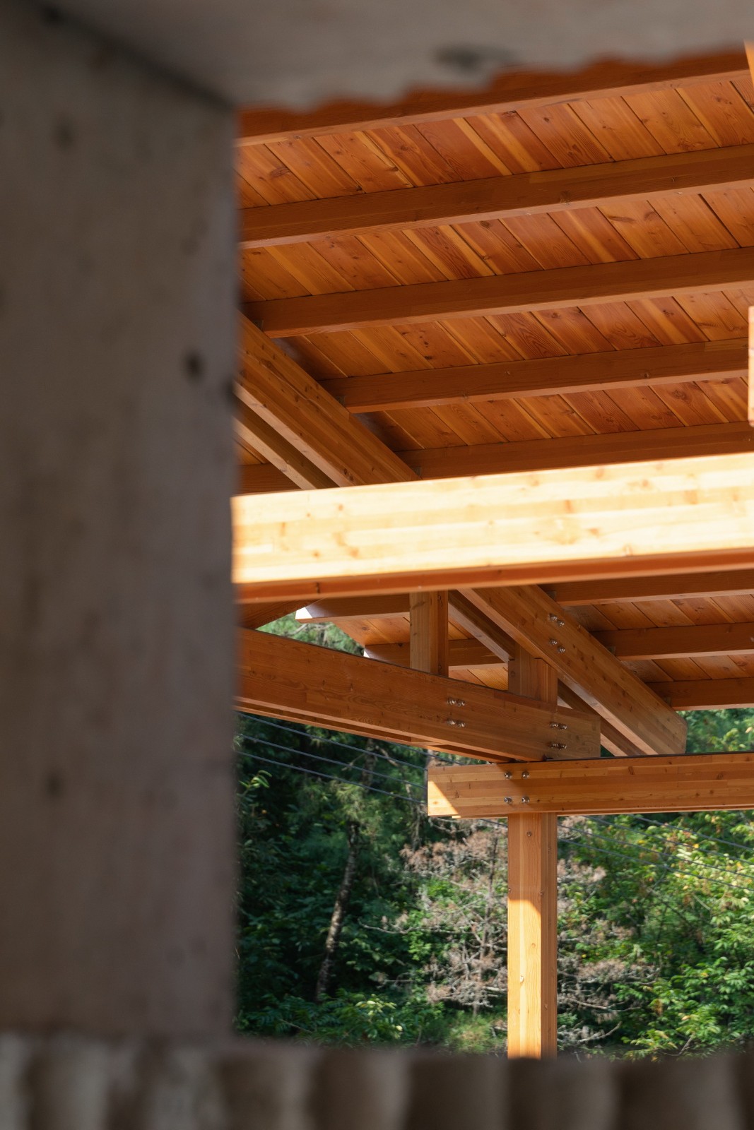 BIM建筑|留坝瓦窑沟多功能服务中心 / 尌林建筑设计事务所