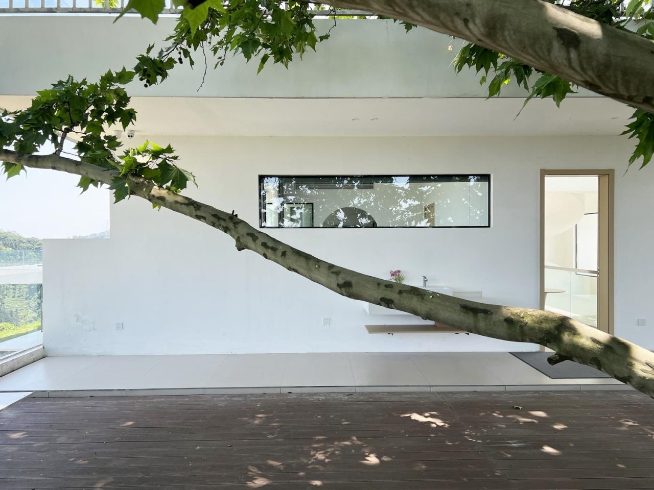 BIM建筑|云台阅野：漂浮在茶田上的民宿 / 岩川建筑设计