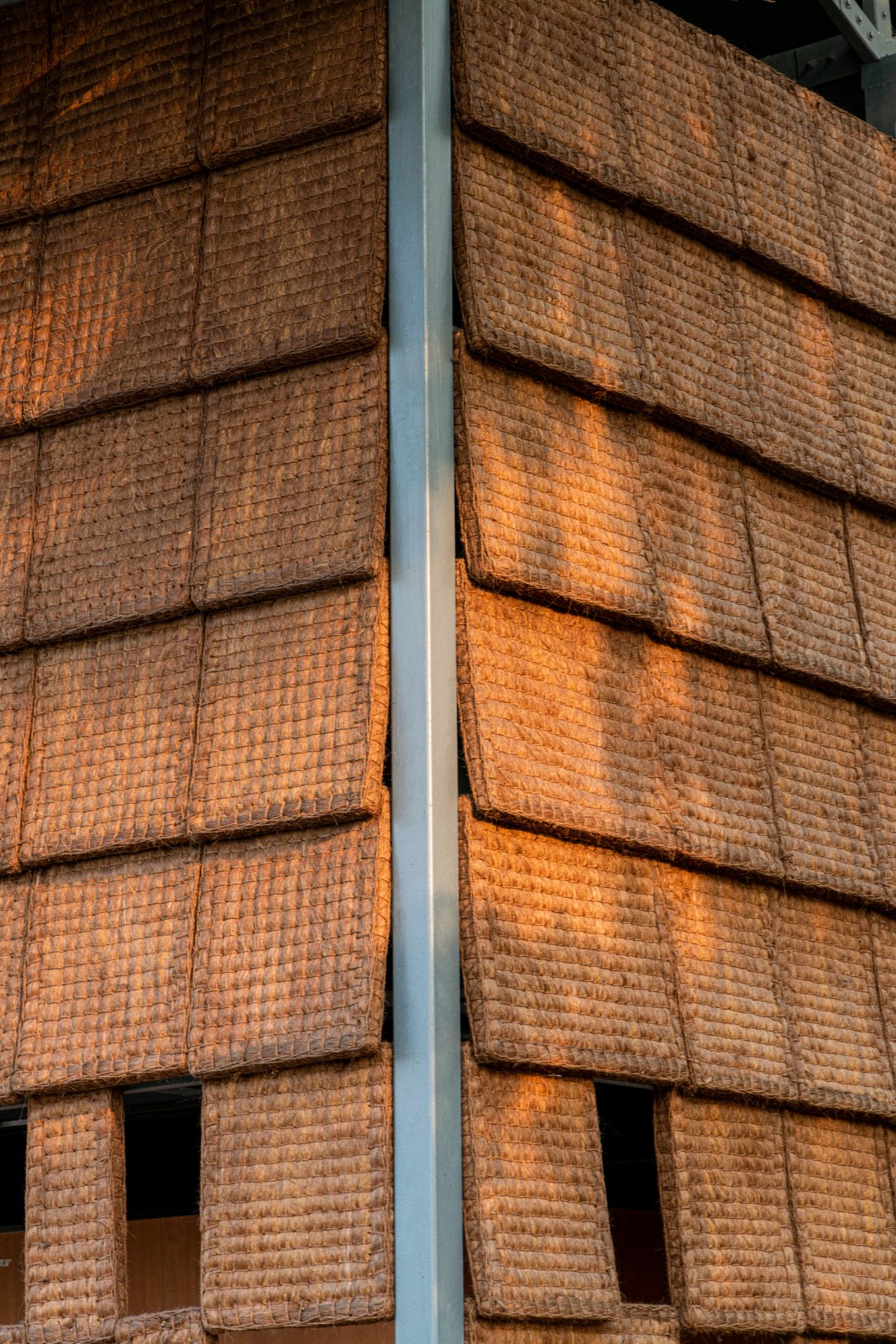 BIM建筑|面朝花海的棕厕 / 在行建筑