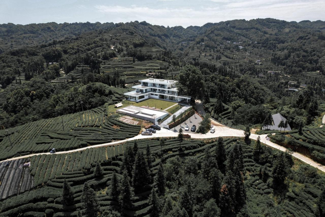 BIM建筑|云台阅野：漂浮在茶田上的民宿 / 岩川建筑设计