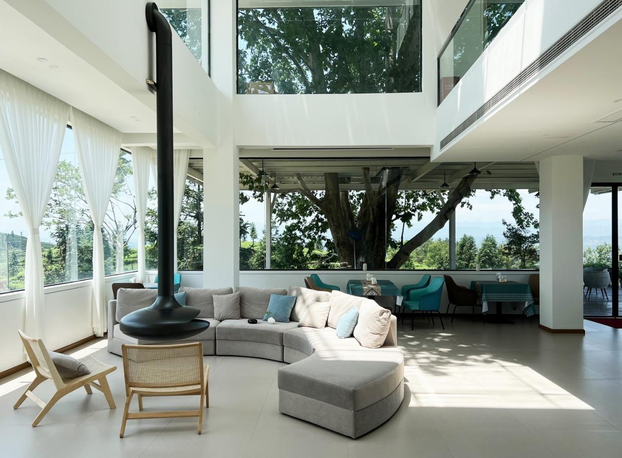 BIM建筑|云台阅野：漂浮在茶田上的民宿 / 岩川建筑设计