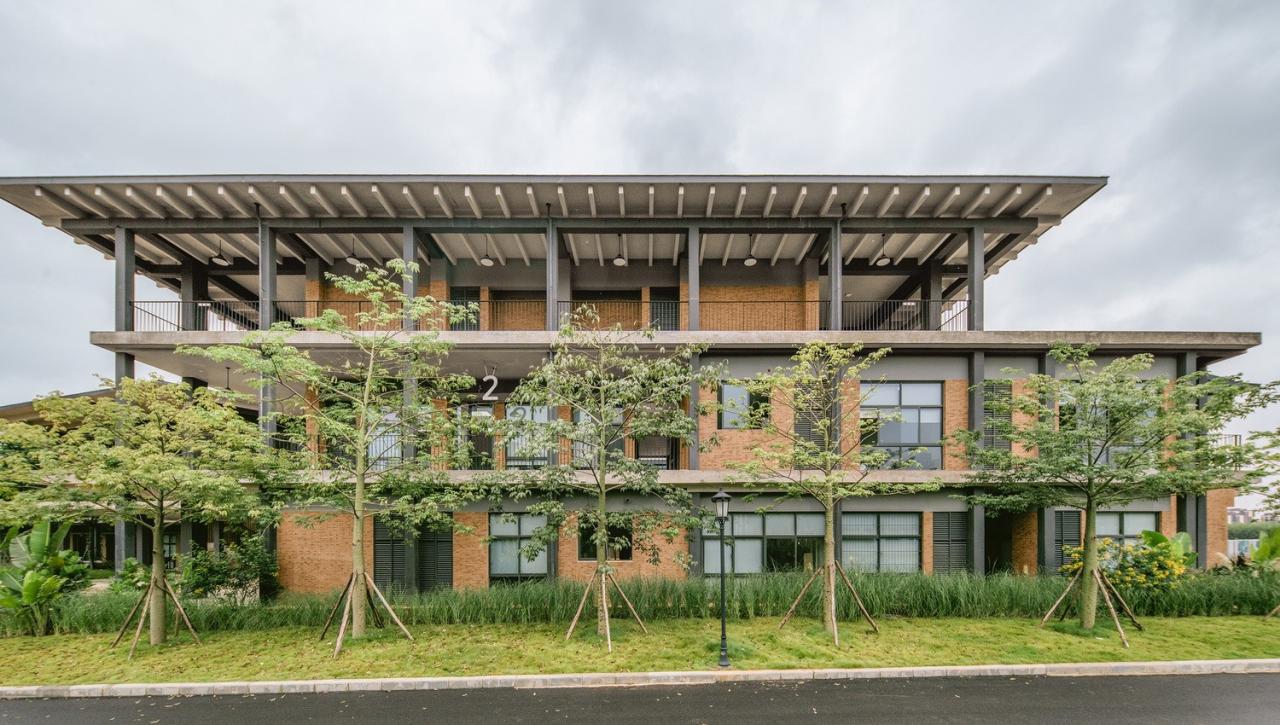 BIM建筑|乐知学校 / 大料建筑