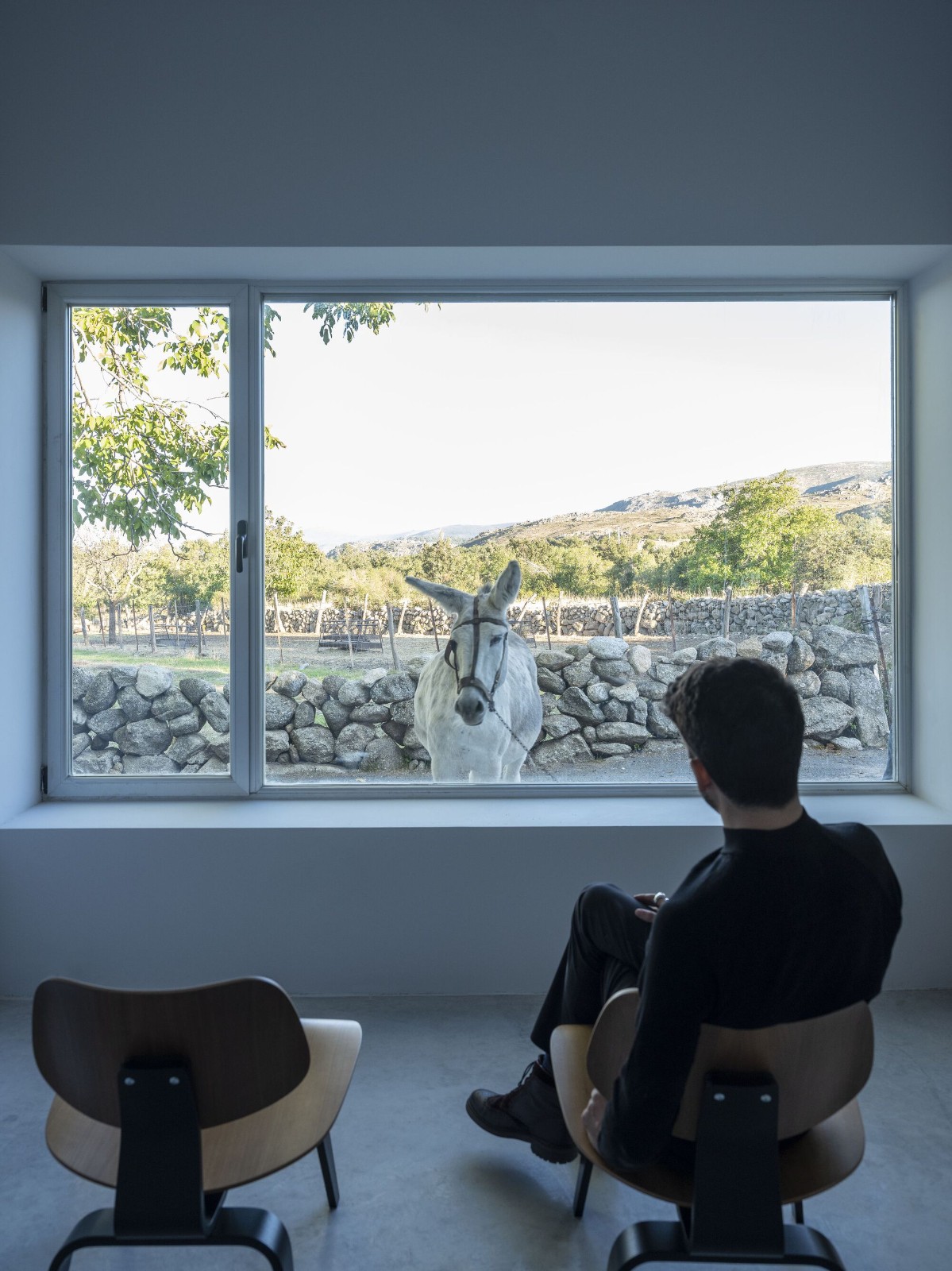 BIM建筑|诺加尔之家 / Raúl Almenara