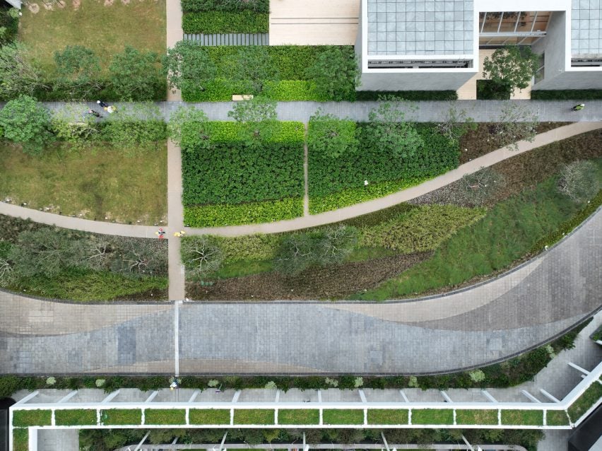 BIM建筑|斯诺赫塔在香港推出“绿肺”城市农场