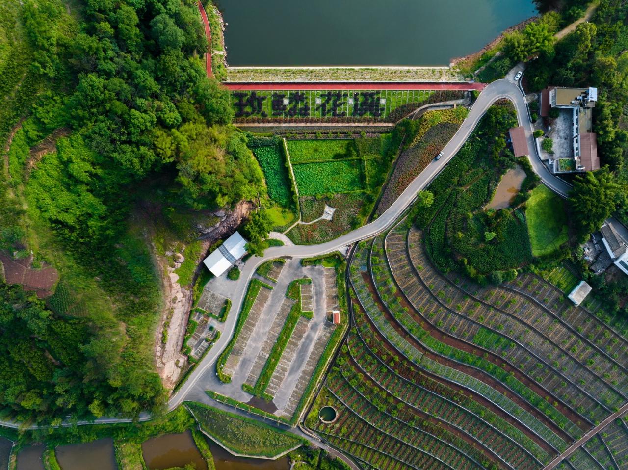 BIM建筑|面朝花海的棕厕 / 在行建筑