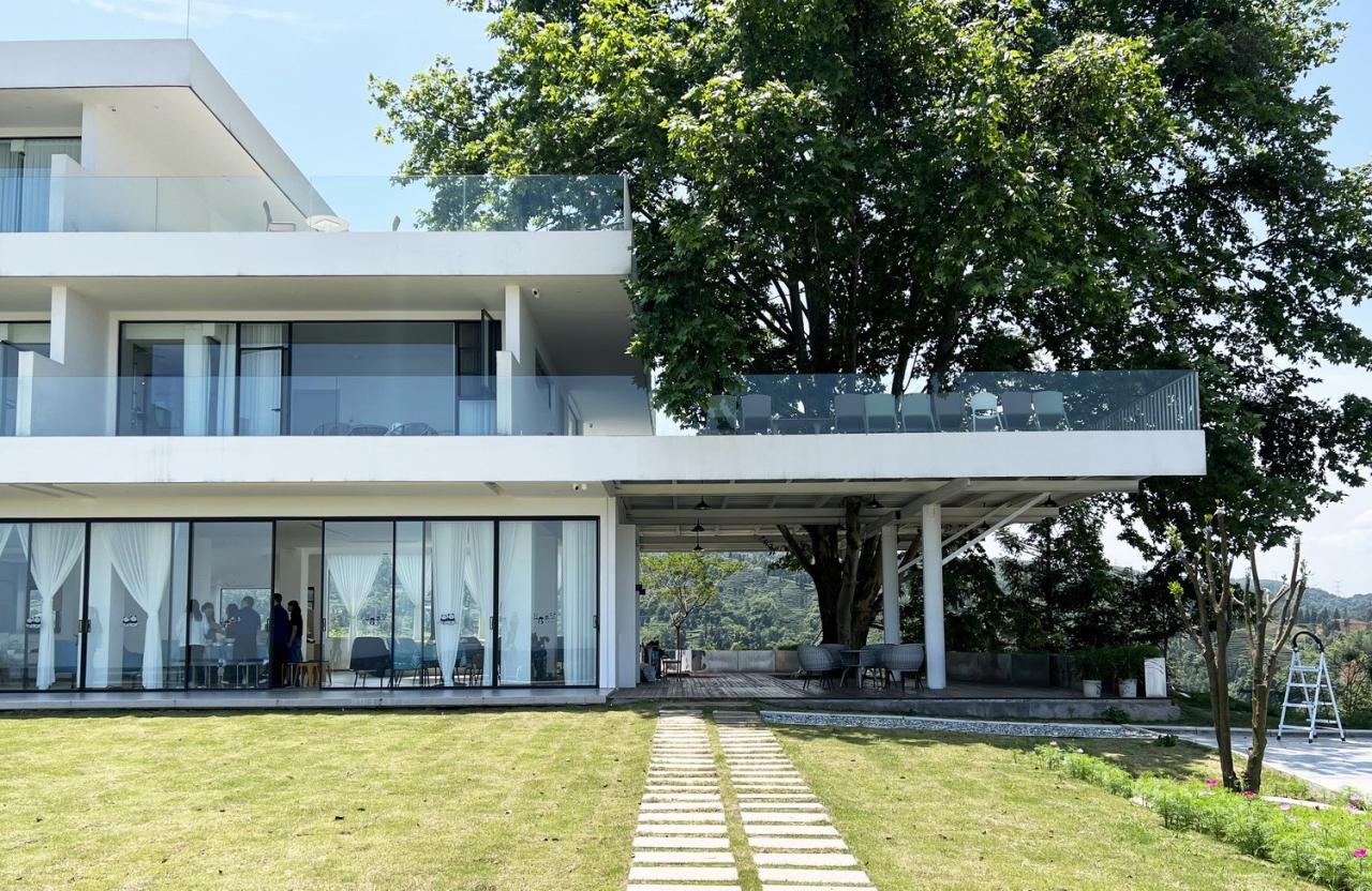 BIM建筑|云台阅野：漂浮在茶田上的民宿 / 岩川建筑设计