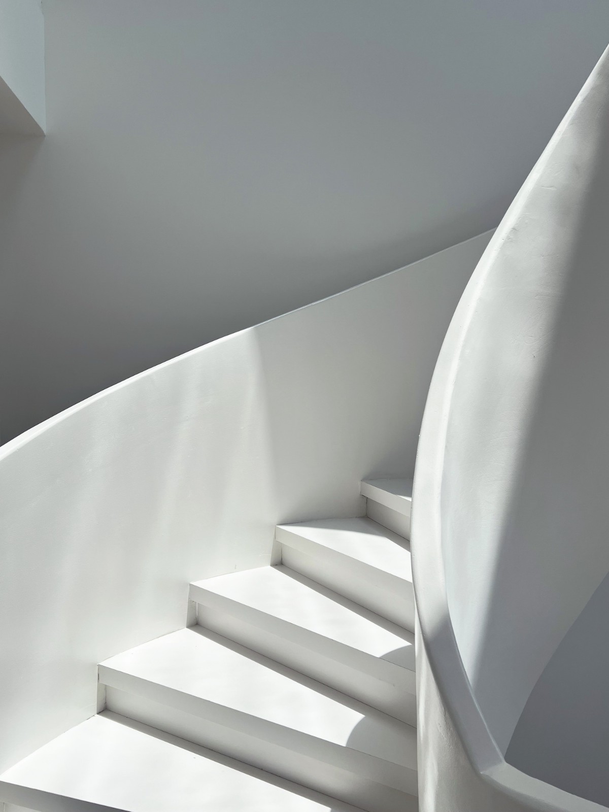 BIM建筑|云台阅野：漂浮在茶田上的民宿 / 岩川建筑设计