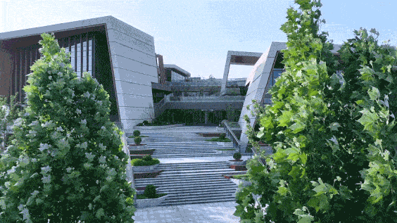 BIM建筑|山之谷：郑州·深业健康城 / 柏涛建筑