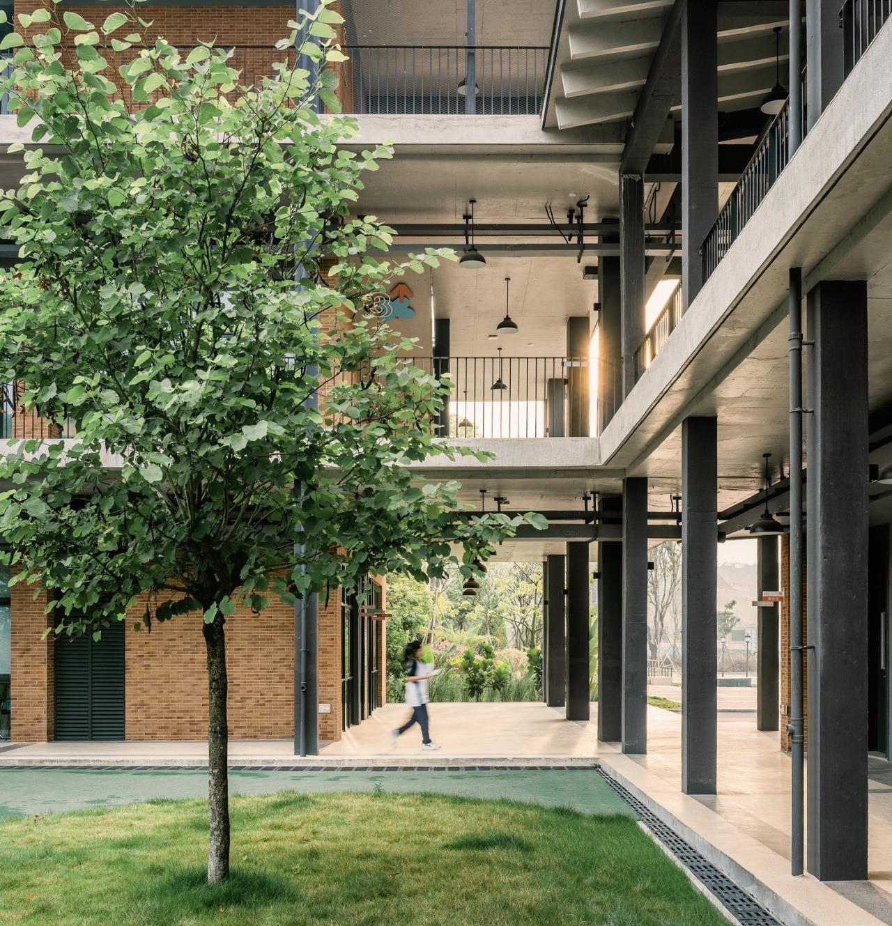 BIM建筑|乐知学校 / 大料建筑