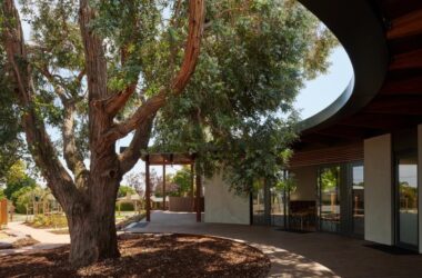 BIM建筑|抱树而建，Wellington 亲子中心 / AOA Christopher Peck-BIM建筑网