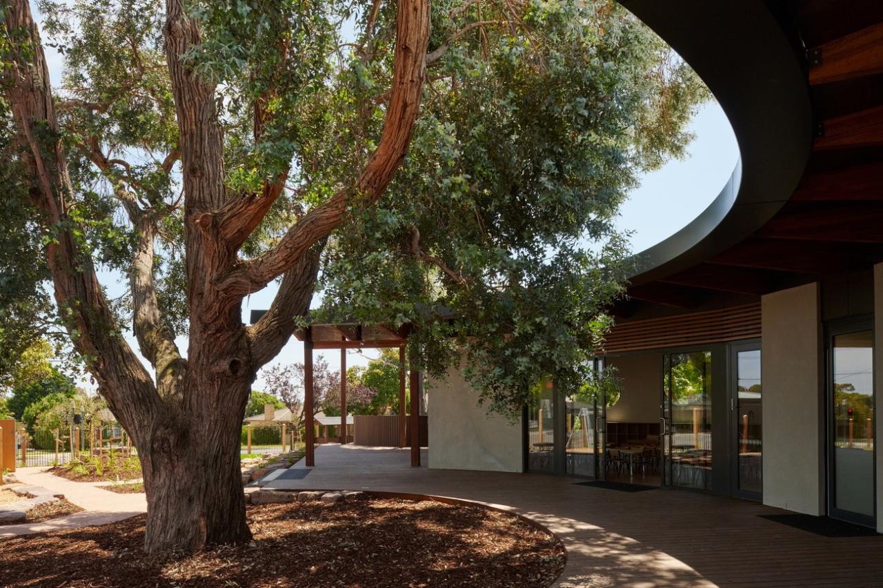 BIM建筑|抱树而建，Wellington 亲子中心 / AOA Christopher Peck