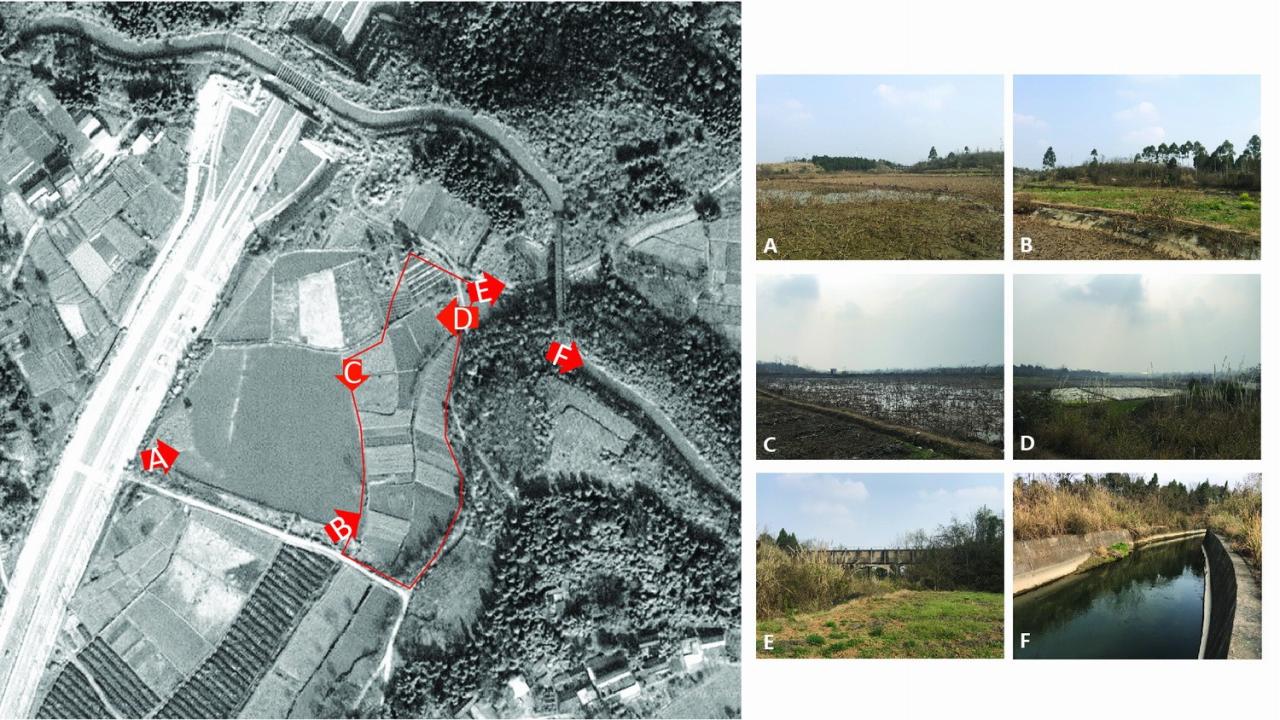 BIM建筑|凯州之窗 / BIAD · 朱小地工作室