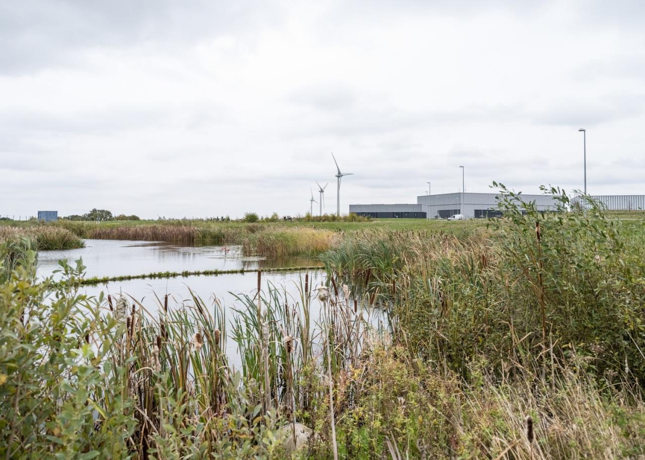 BIM建筑|欧洲散裂中子源研究室 / Henning Larsen + Cobe + Buro Happold + SLA Architects