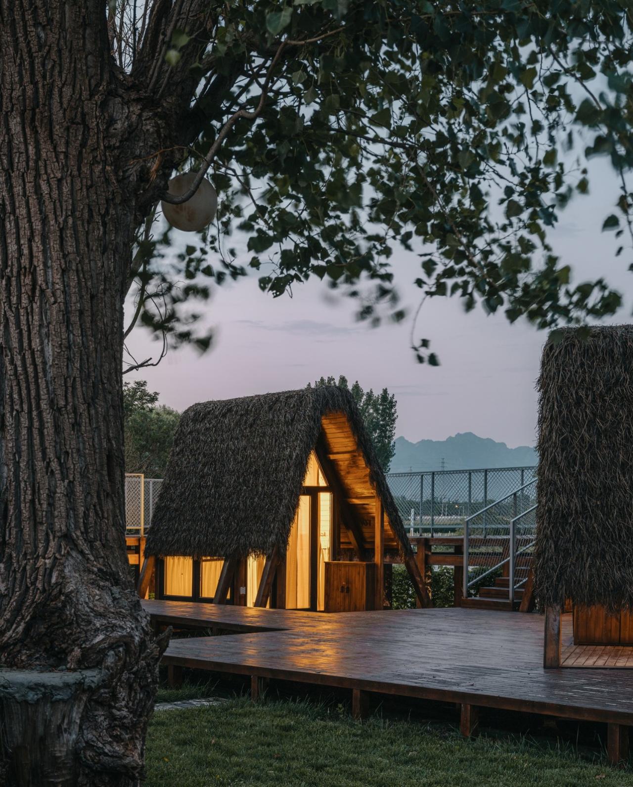 BIM建筑|疯癫是理性的礼物：板泉之野民宿与营地 / 大料建筑