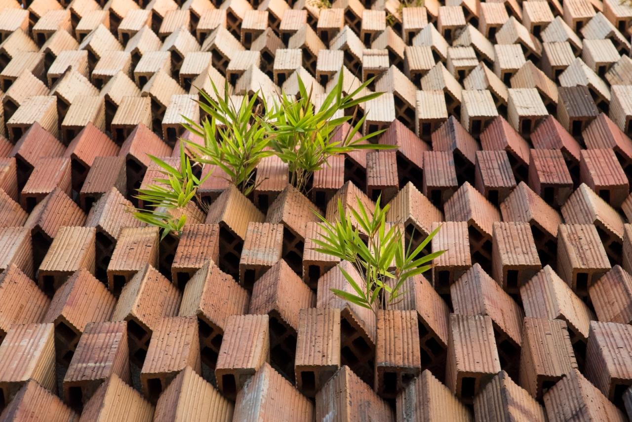 BIM建筑|生态绿洲之家 / I-Con Architects and Urban Planners