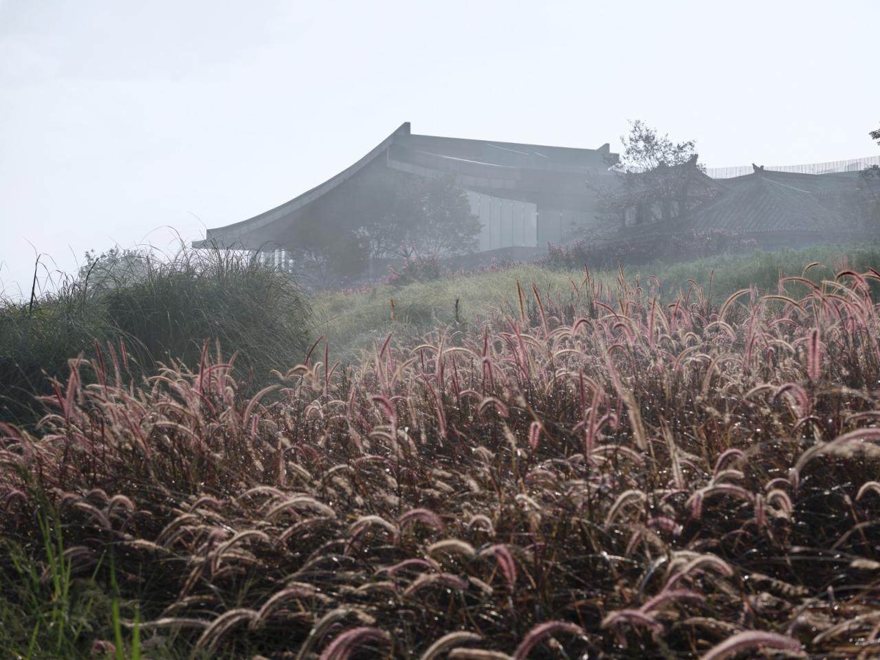 BIM建筑|李庄文化抗战博物馆 / 同济原作设计工作室