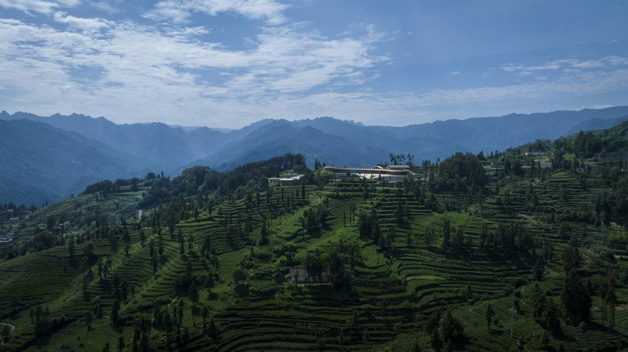 BIM建筑|三峡茶旅小镇展示中心 / 建筑营设计工作室