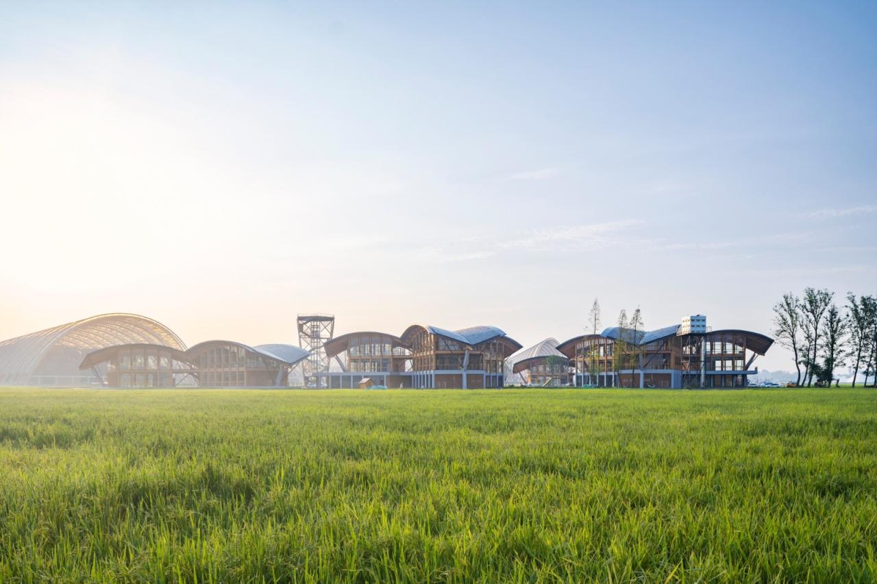 BIM建筑|天府农博园青苗 / 中建西南院