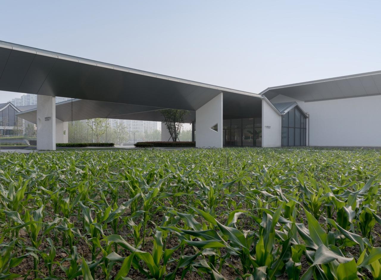 BIM建筑|互生：余德耀美术馆新馆 / 山水秀建筑事务所