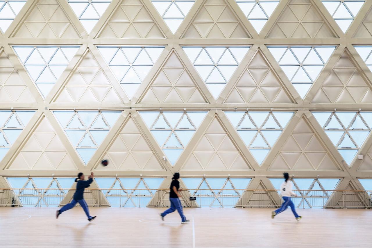 BIM建筑|龙泉中学体育馆 / 中国建筑西南设计研究院有限公司