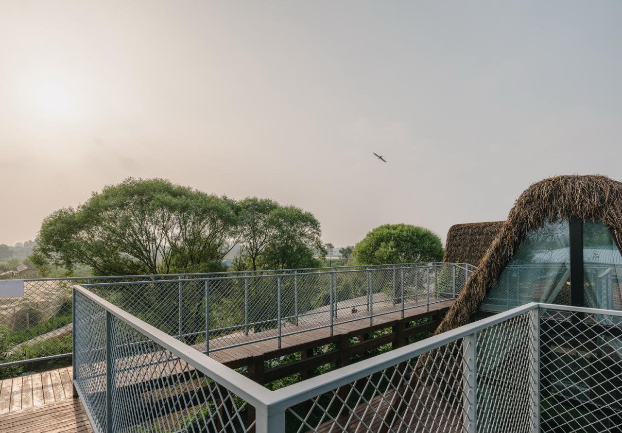 BIM建筑|疯癫是理性的礼物：板泉之野民宿与营地 / 大料建筑