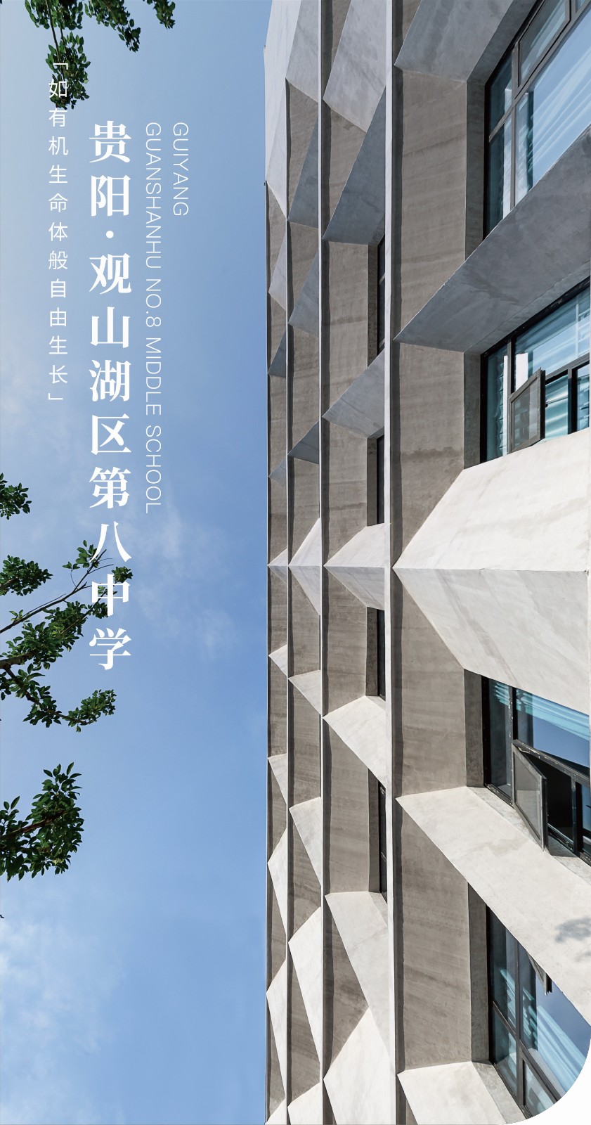 BIM建筑|如有机生命体般自由生长：贵阳·观山湖区第八中学