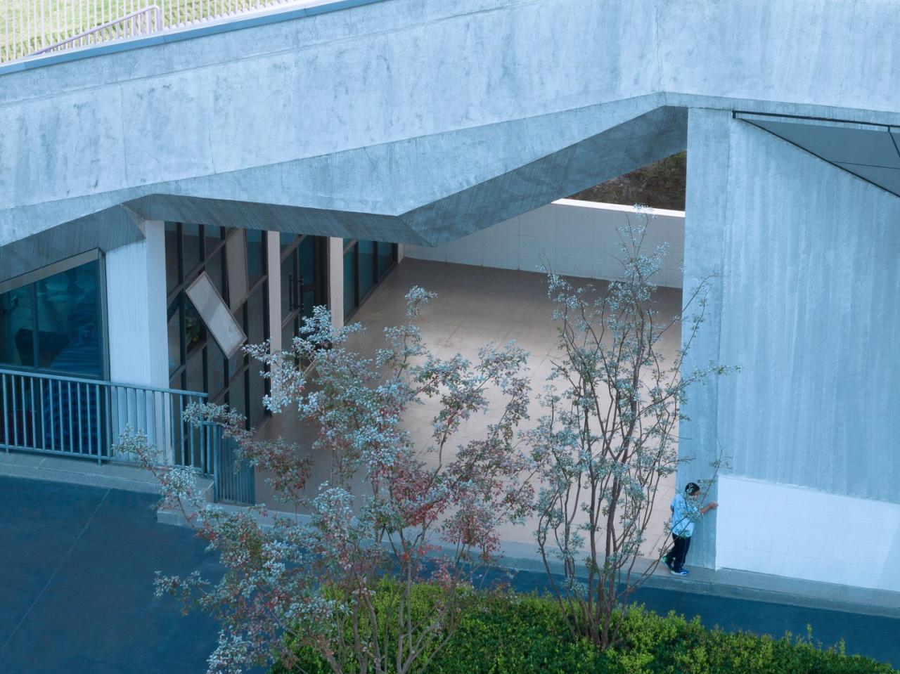 BIM建筑|如有机生命体般自由生长：贵阳·观山湖区第八中学