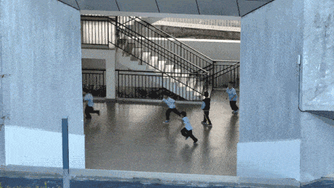 BIM建筑|如有机生命体般自由生长：贵阳·观山湖区第八中学