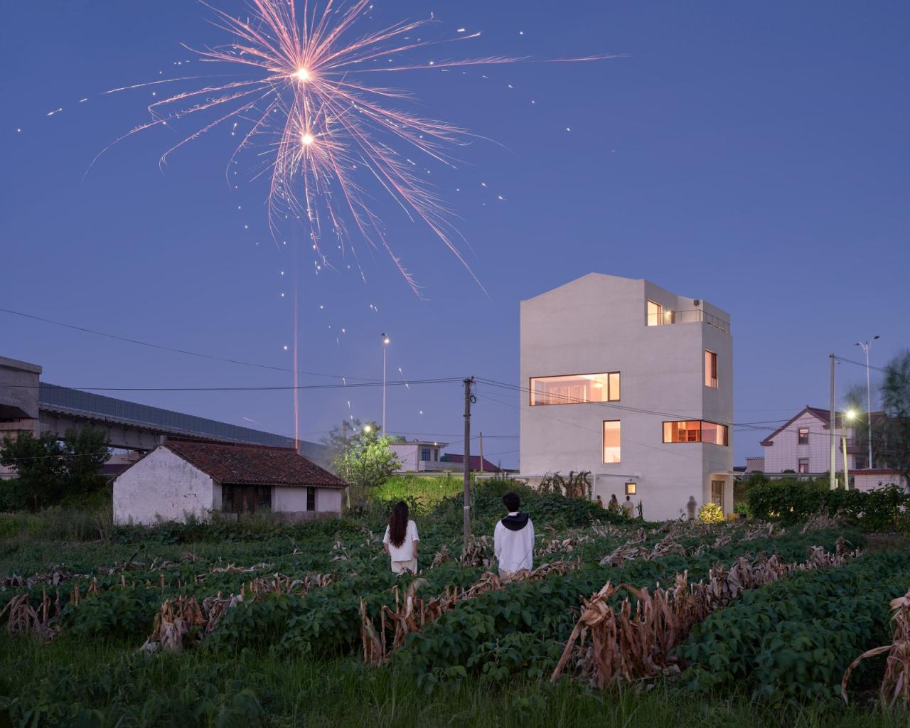 BIM建筑|启东彭宅 / 立木设计研究室