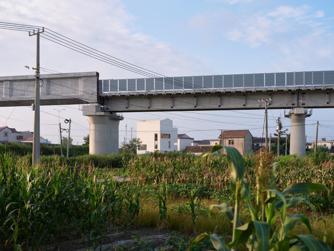 BIM建筑|启东彭宅 / 立木设计研究室