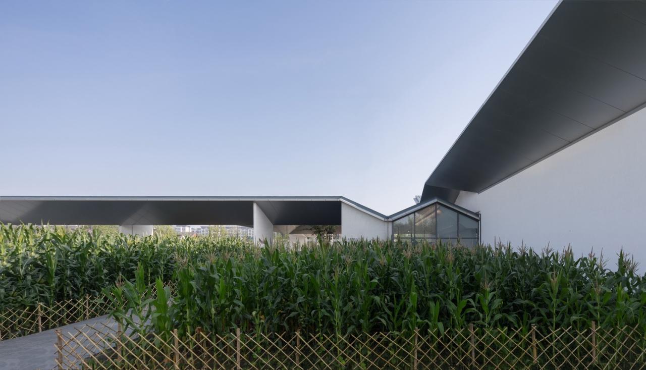 BIM建筑|互生：余德耀美术馆新馆 / 山水秀建筑事务所