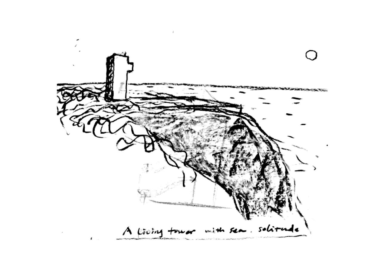 BIM建筑|崖顶咖啡厅及塔居 / 迹•建筑事务所（TAO）