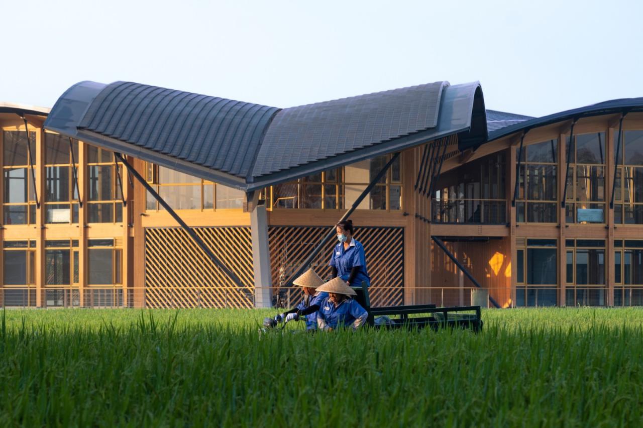 BIM建筑|天府农博园青苗 / 中建西南院