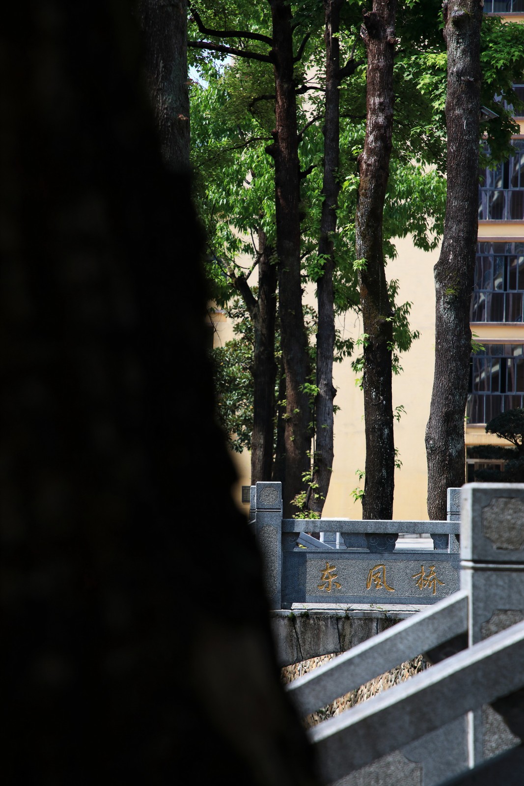 BIM建筑|一座深藏在云和小县城的校史馆 / 丰间建筑事务所