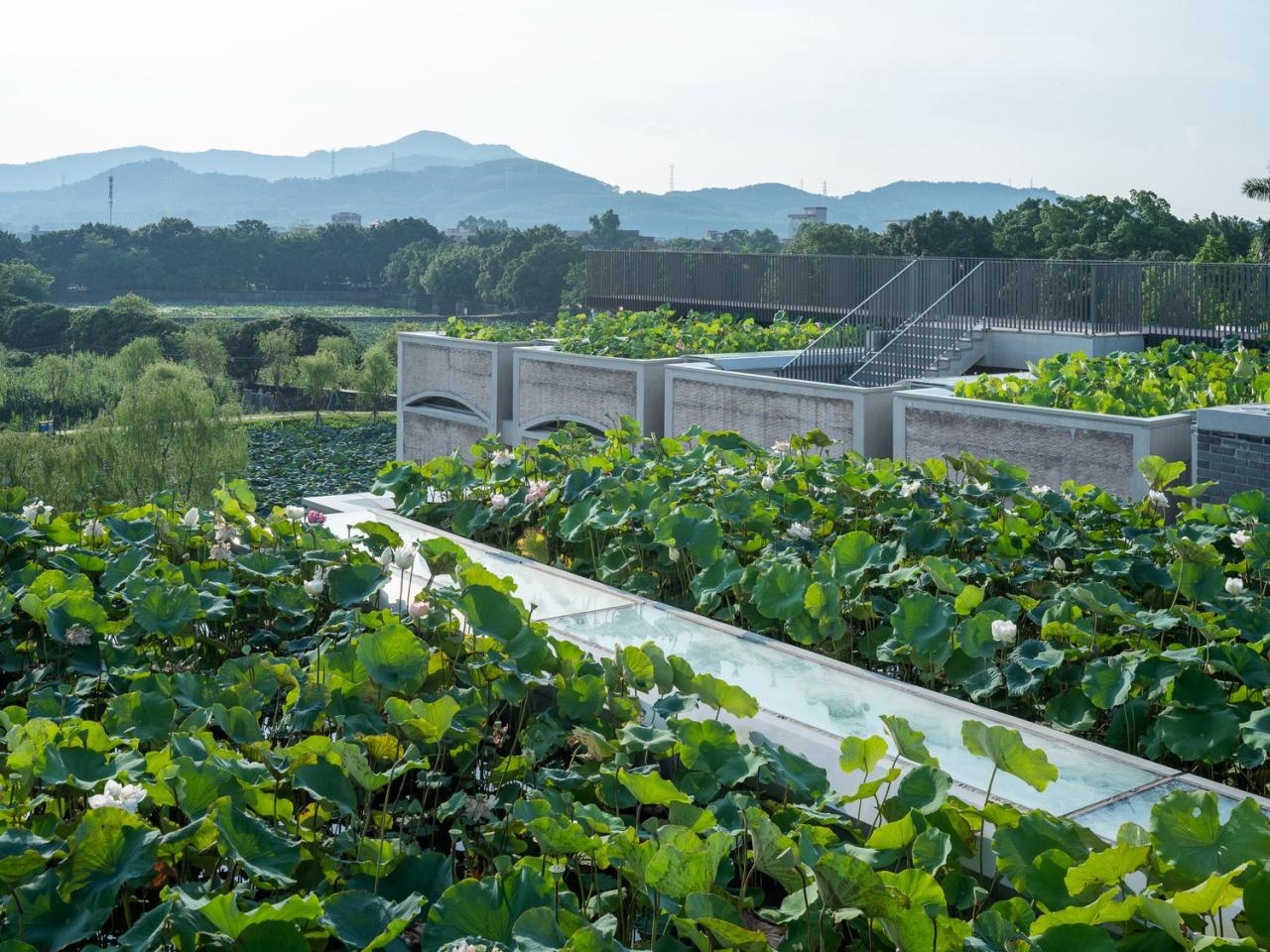 BIM建筑|春阳台艺文中心 / 非常建筑