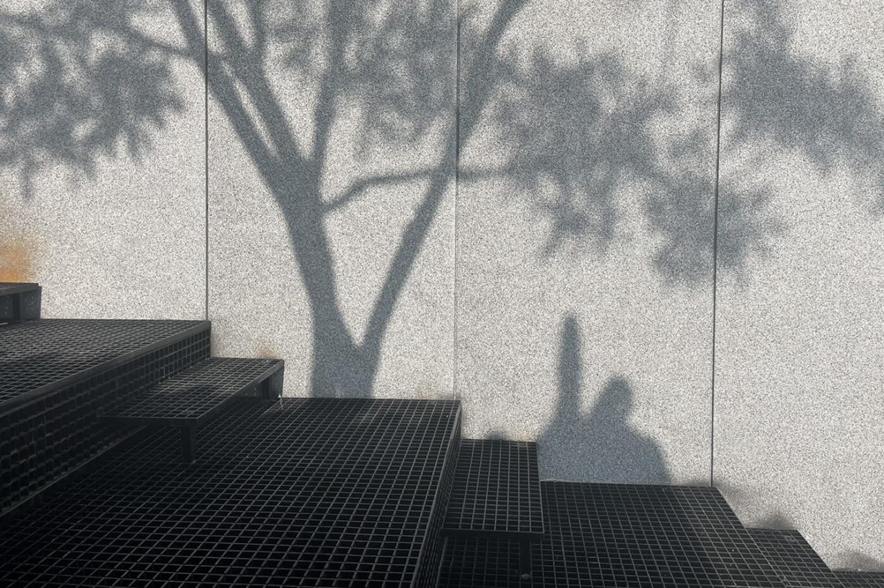 BIM建筑|大同古城东南邑历史文化街区景观修复 / 象界设计