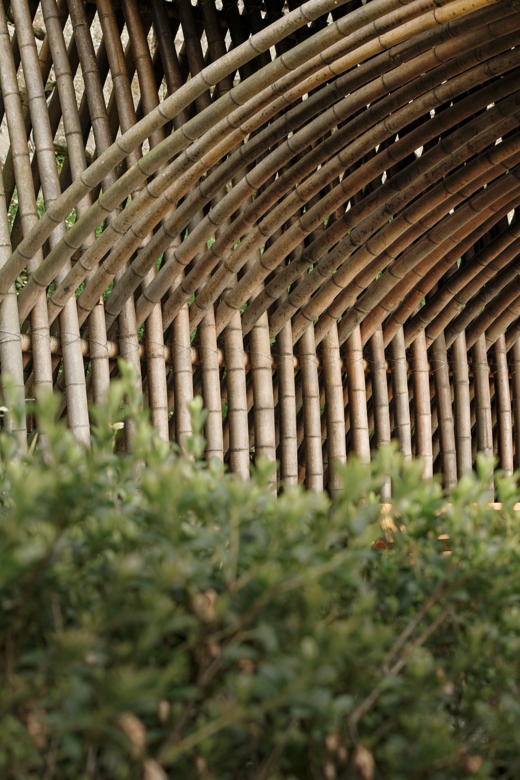 BIM建筑|清水茶坊 / Behet Bondzio Lin Architekten