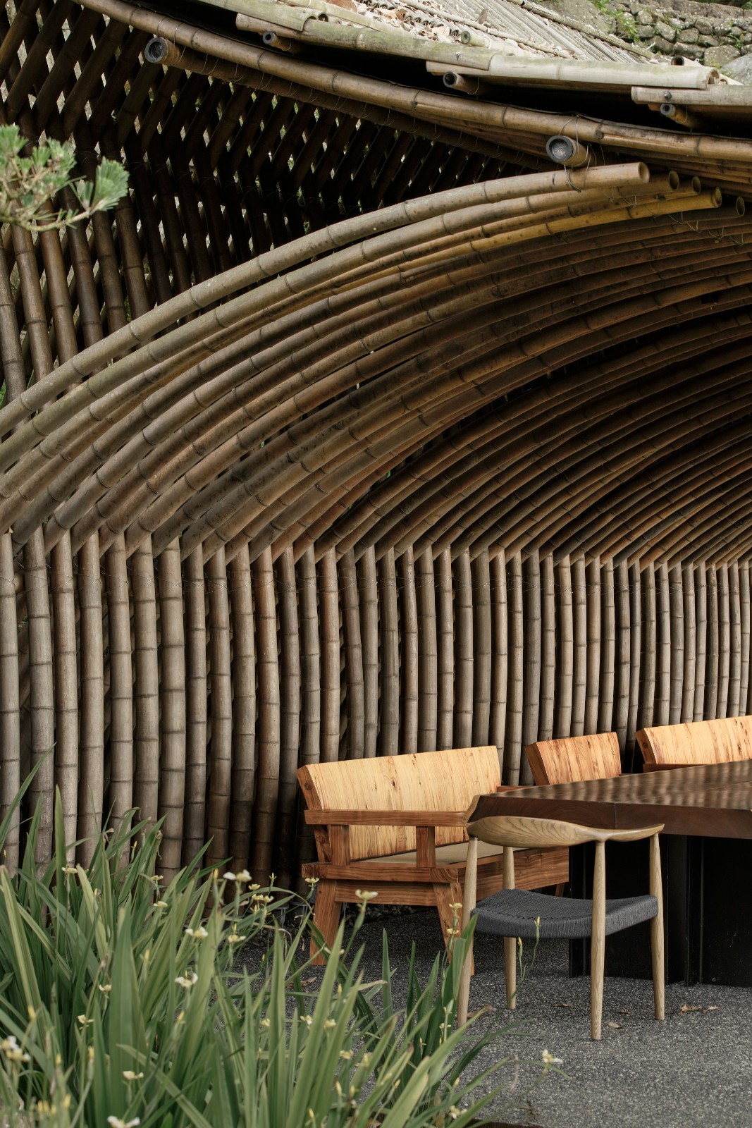 BIM建筑|清水茶坊 / Behet Bondzio Lin Architekten