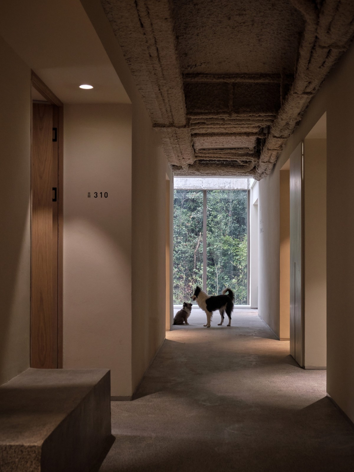 BIM建筑|杭州青山青年社 / 间筑设计