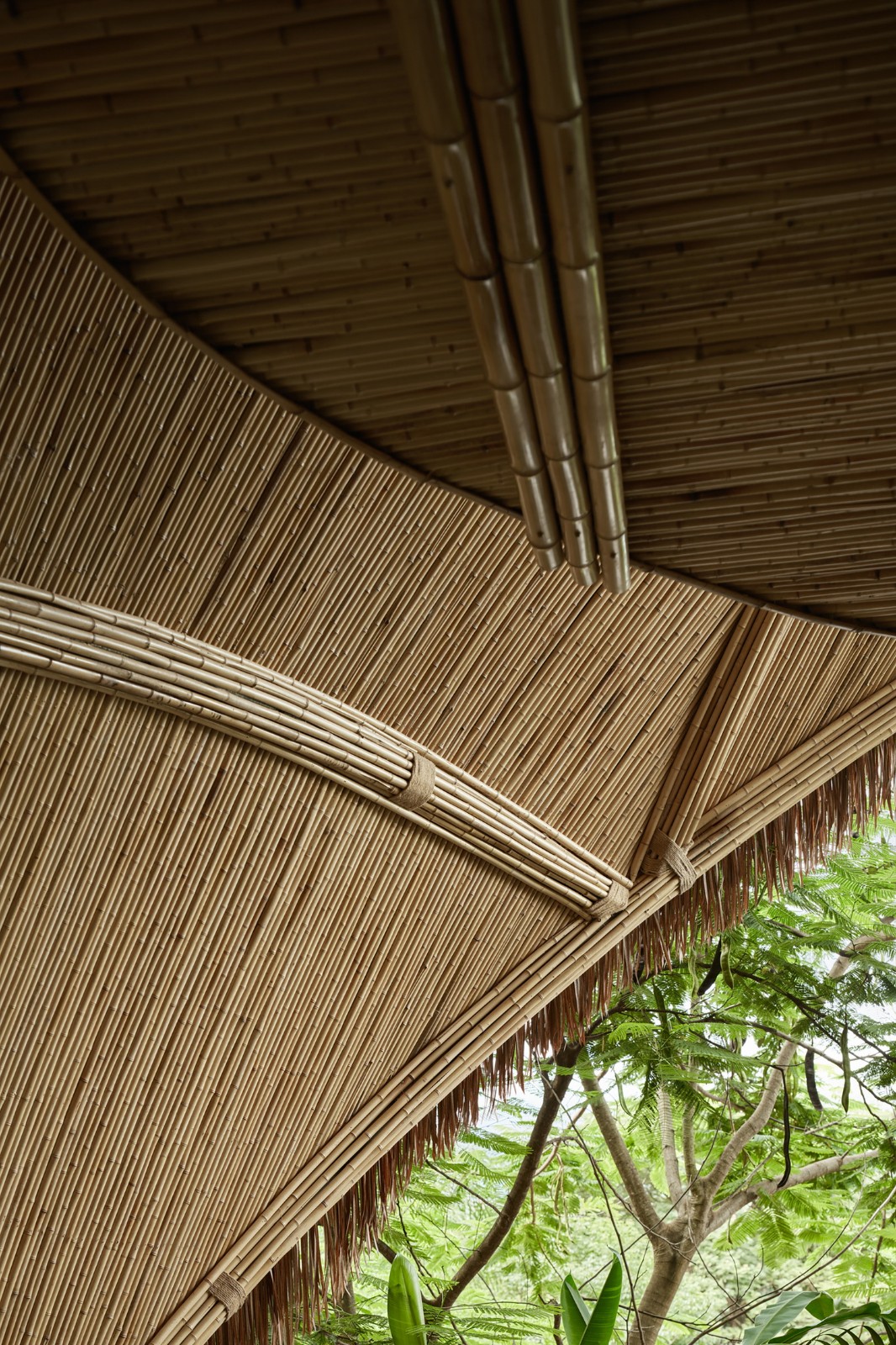 BIM建筑|春武里 / 方糖设计