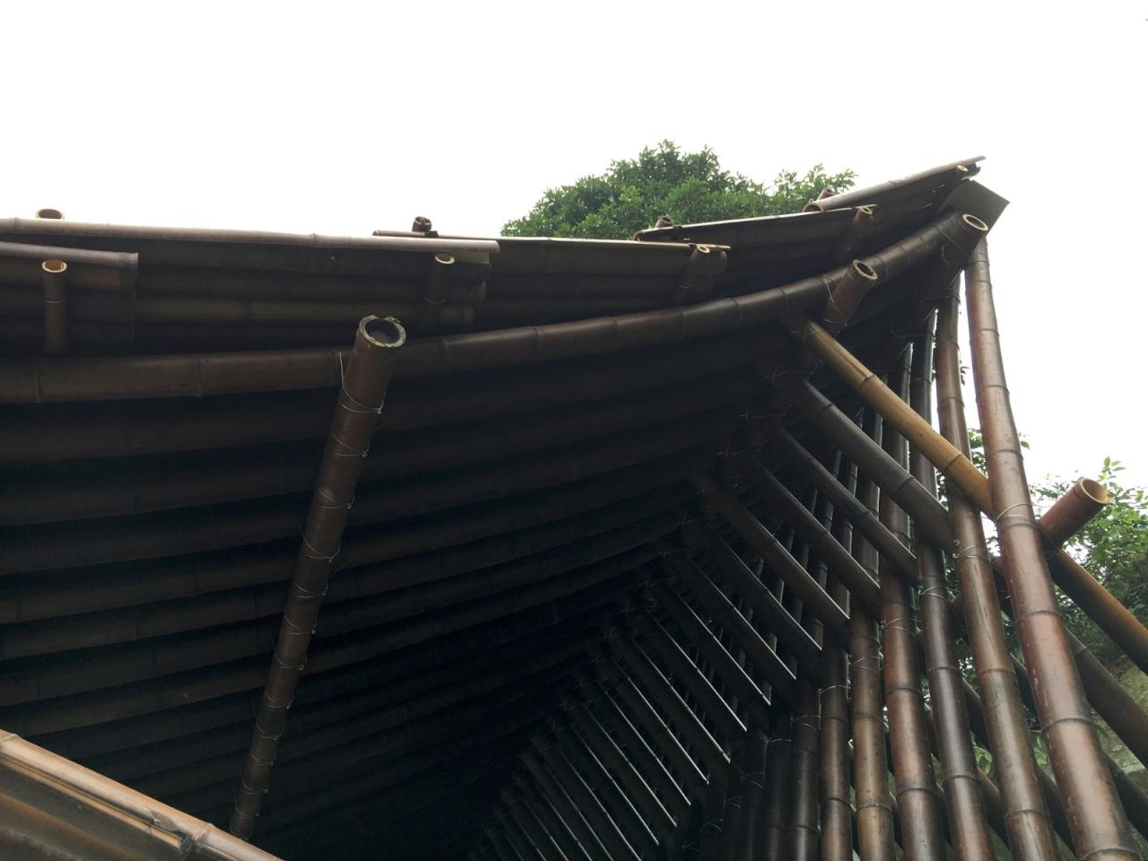 BIM建筑|清水茶坊 / Behet Bondzio Lin Architekten