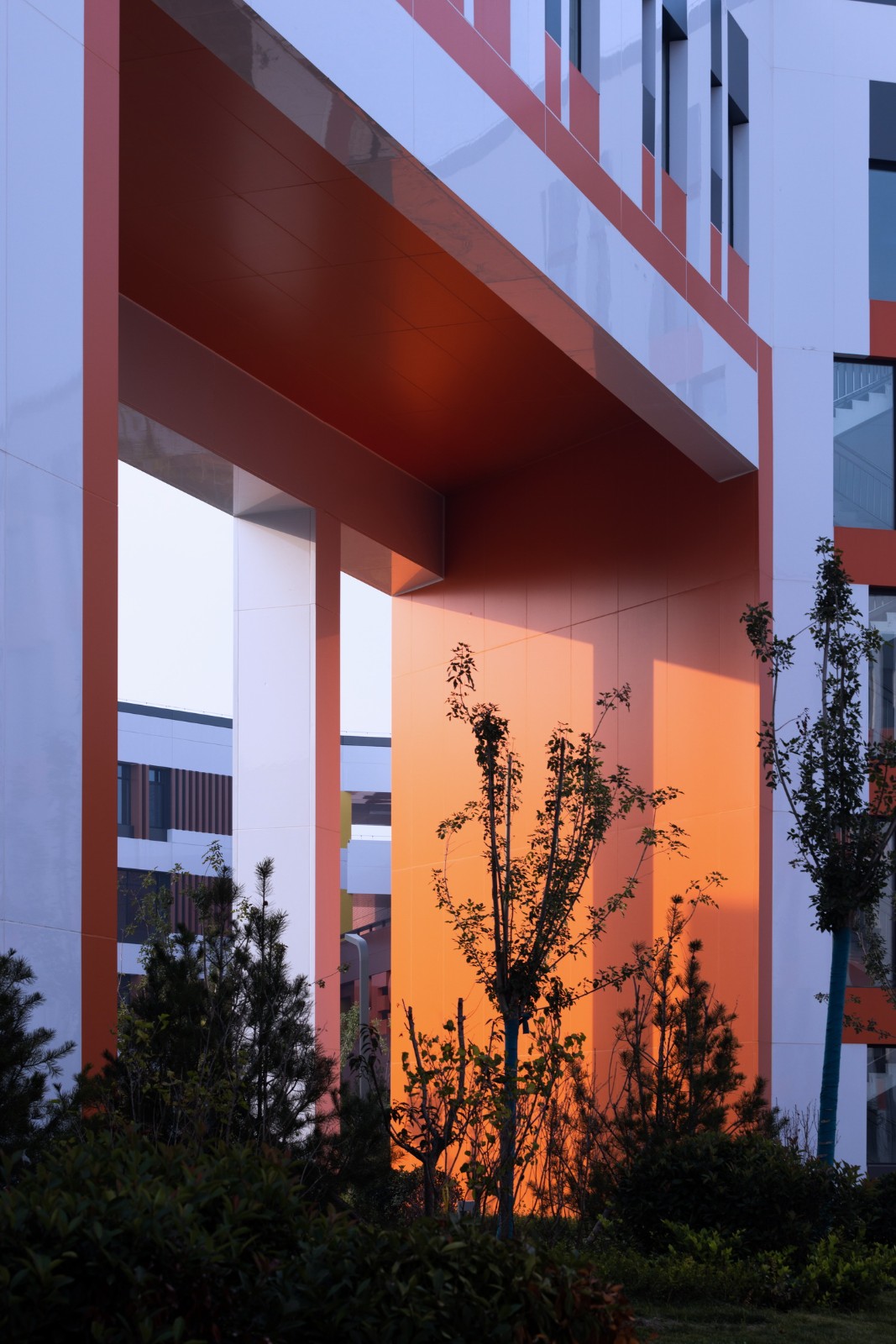 BIM建筑|渤海实验学校（基础教育部） / 中科院建筑设计研究院有限公司