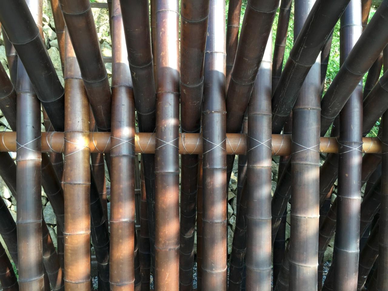 BIM建筑|清水茶坊 / Behet Bondzio Lin Architekten