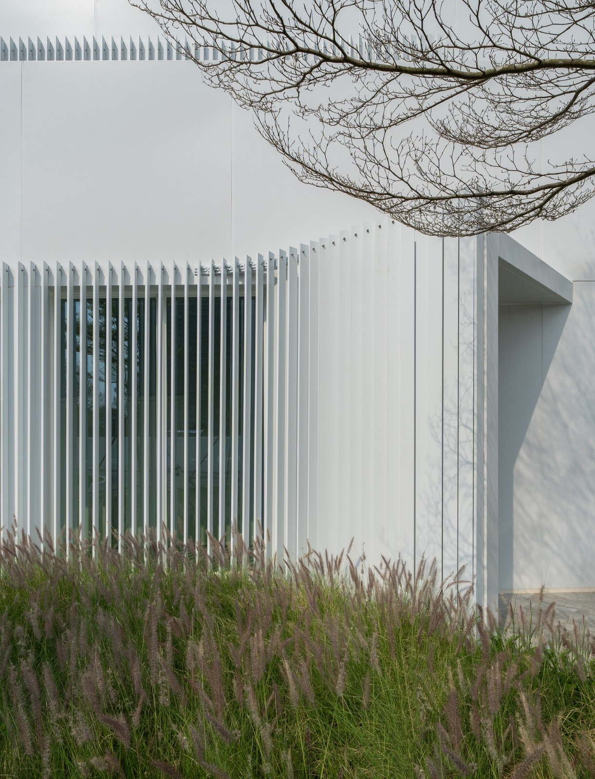 BIM建筑|深圳中心公园指挥部 / 一树建筑